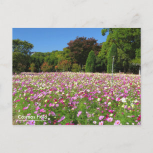 Champ Cosmos : Carte postale