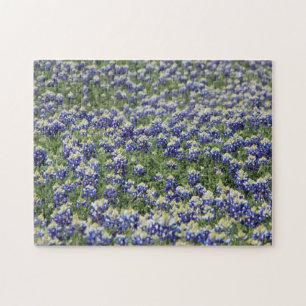 Champ de Bluebonnet de puzzle