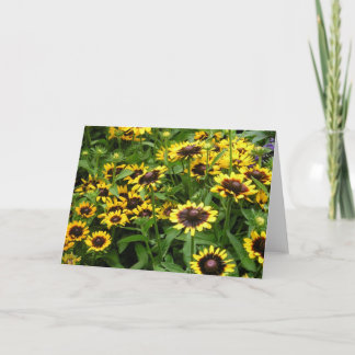 Champ de carte de voeux générale de fleurs