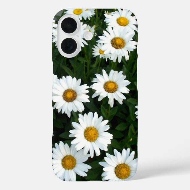 Champ de coque iphone des marguerites (Verso)