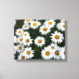Champ de marguerites (petites) toile étirée