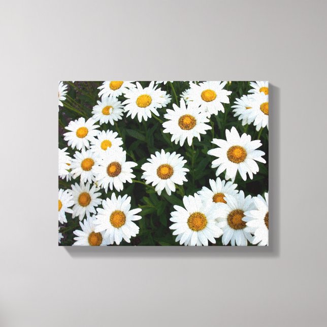 Champ de marguerites (petites) toile étirée (Recto)