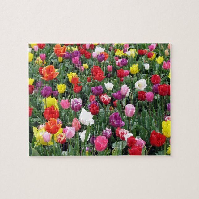 Champ de puzzle coloré de tulipes (Horizontal)