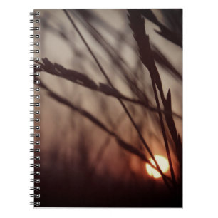 Champ de soleil Carnet photo (80 pages B&W)