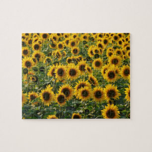 Champ de tournesol Puzzle