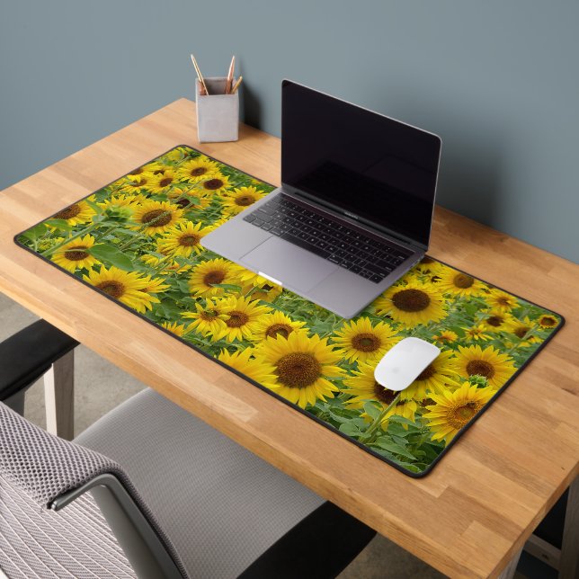Champ de tournesols jaunes (Bureau 2)