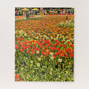 Champ de tulipes puzzle