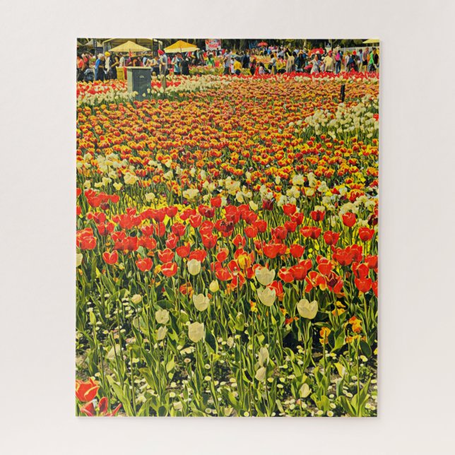 Champ de tulipes puzzle (Vertical)
