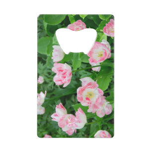 Champ de tulipes roses