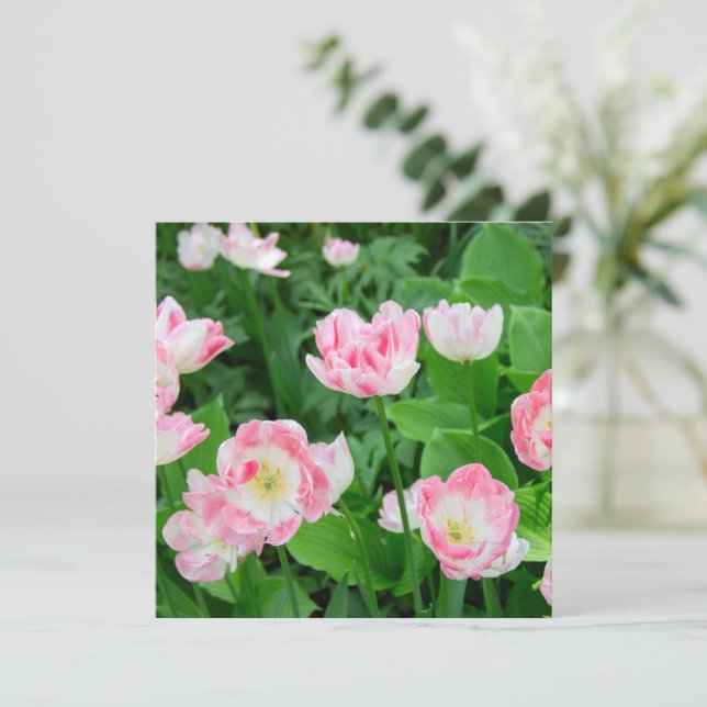 Champ de tulipes roses (Debout devant)