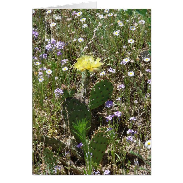 Champ des fleurs (Devant)