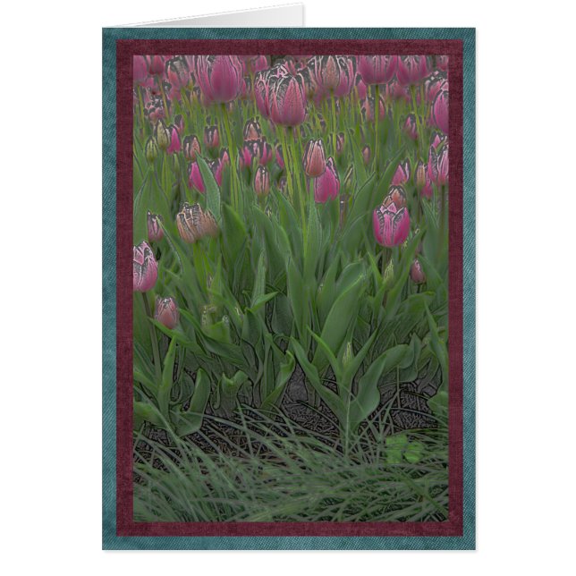 Champ des tulipes roses (Devant)