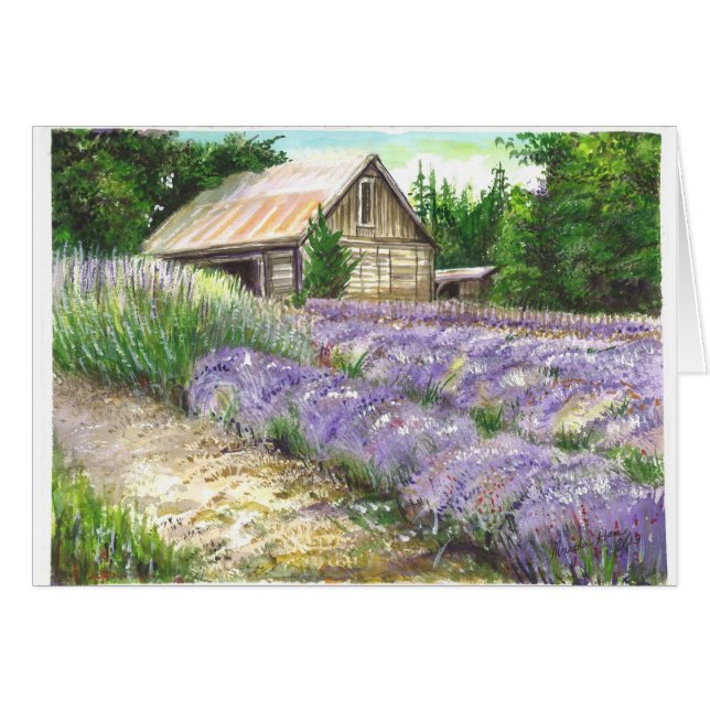 Champ Lavendor (Devant horizontal)