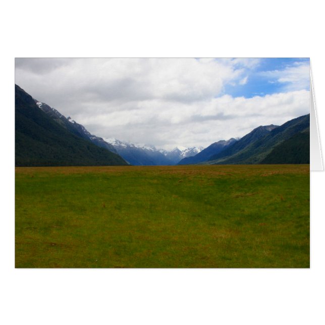 champ nz (Devant horizontal)