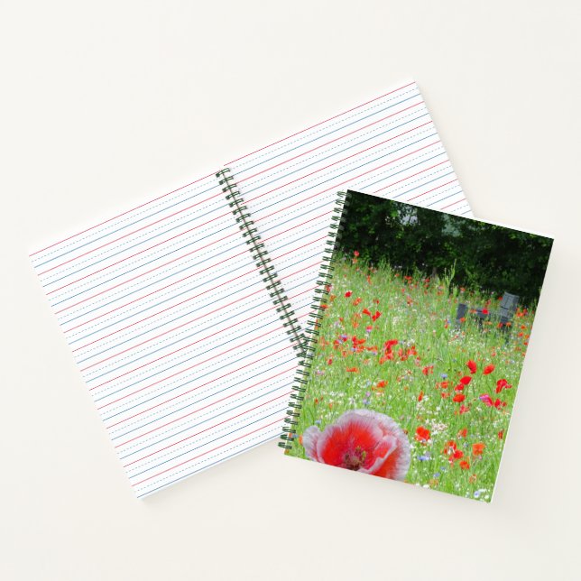 Champ Poppies avec banc Carnet EDS (Intérieur)