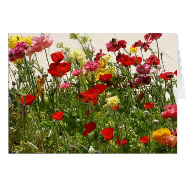 Champ sauvage (Devant horizontal)