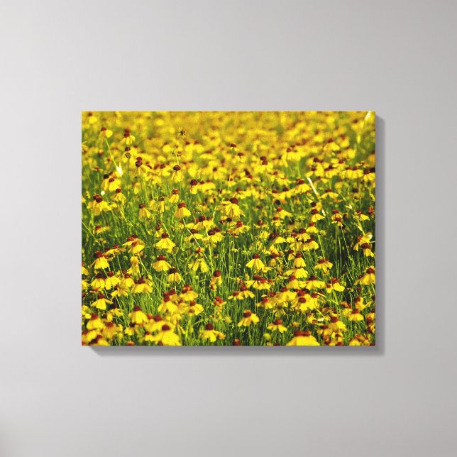 Champ toile photo Fleur sauvage jaune (Recto)
