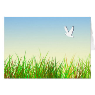 Champ vert avec colombe blanche