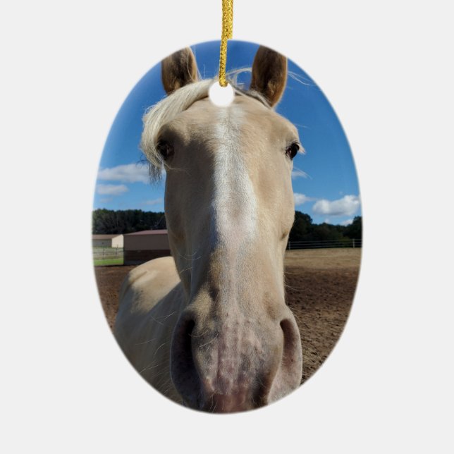 Champagne Tennessee Promenade Horse ornement (Devant)