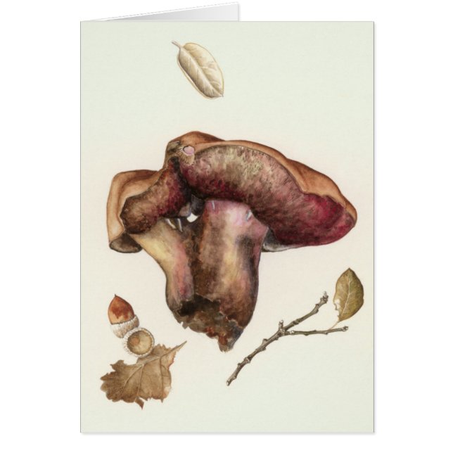 Champignon (Devant)