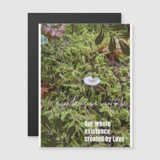 Champignon Belknap avec aimant de devis de connexi