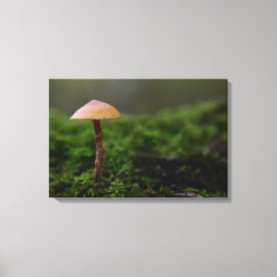 Champignon dans la copie verte de toile de mousse