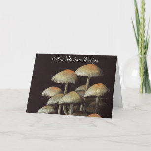 Champignons