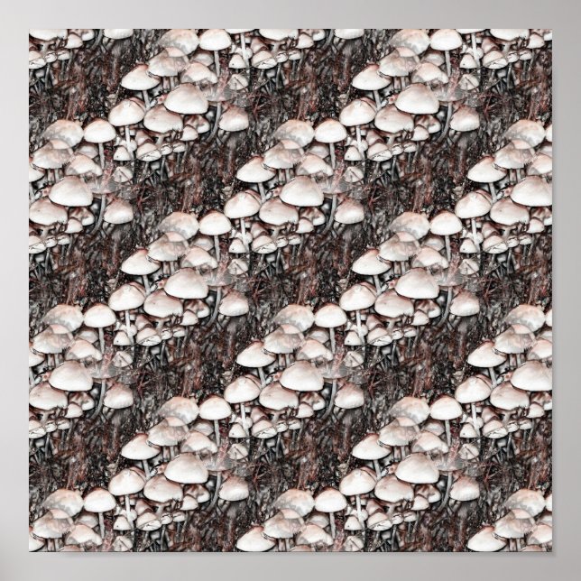 Champignons Abstraits Fun Nature Art Poster (Devant)