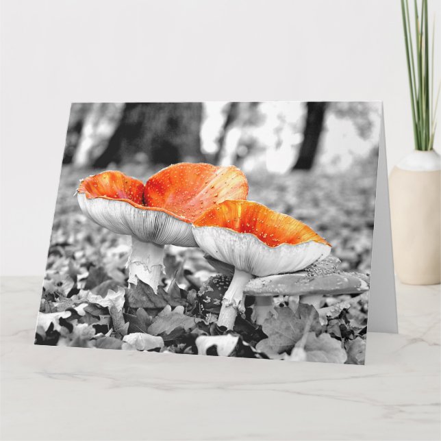 Champignons Carte d'art géante Adelaide Hills (Devant)