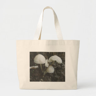 Champignons dans le sac de souche