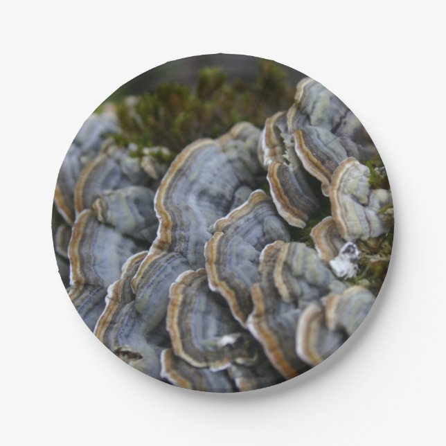 Champignons d'Arbre Photo Assiettes en Papier (Devant)