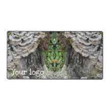 "Champignons de queue de Turquie"