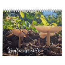 Champignons des bois - Calendrier naturel 2026
