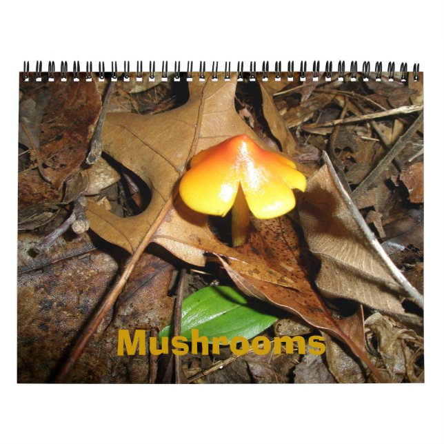 Champignons du calendrier (Protection)