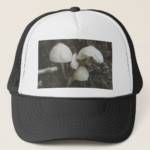 Champignons en Casquette de souche