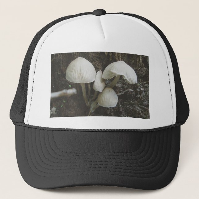 Champignons en Casquette de souche (Devant)