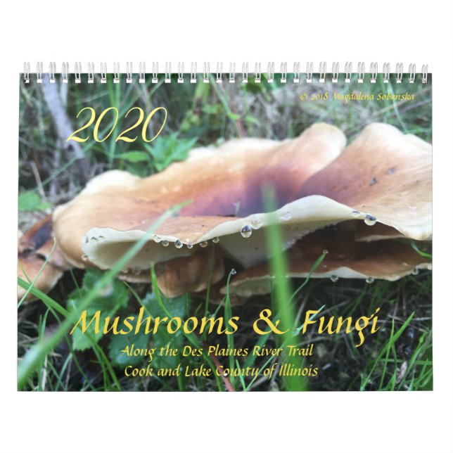 Champignons et champignons Calendrier 2020 (Protection)