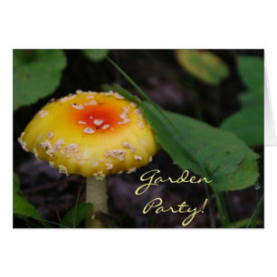 Champignons jaunes Extraordinaires