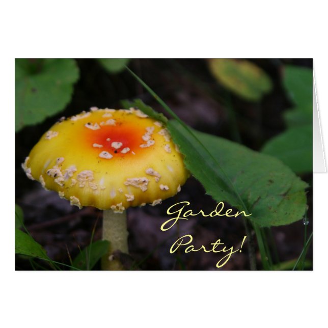 Champignons jaunes Extraordinaires (Devant horizontal)