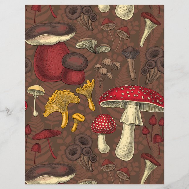 Champignons sauvages sur brun (Devant)