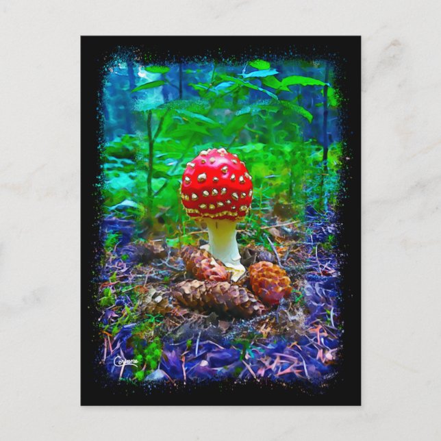 Champignons vibrants - Carte postale (Devant)
