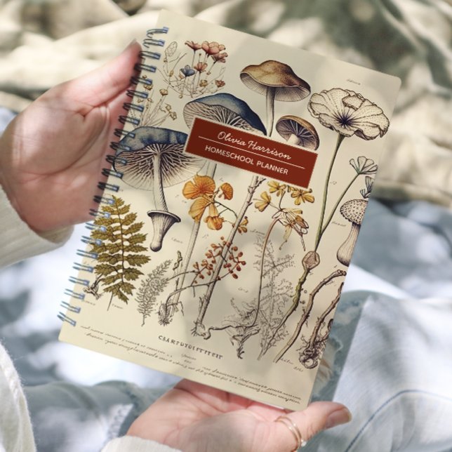 Champignons vintages Nom et sujet de la nature (Créateur téléchargé)