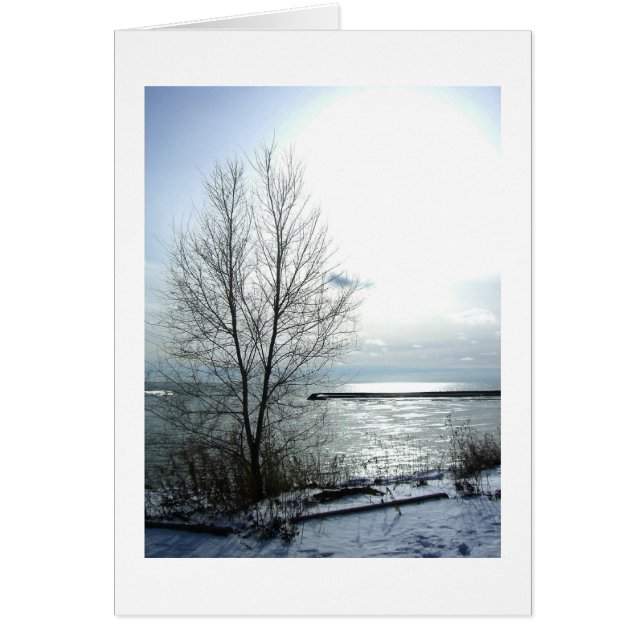 Championnat de France de hockey sur glace (Devant)