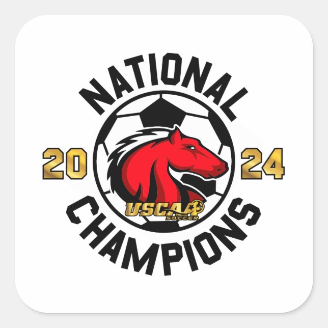 Champions nationaux 2024 - Sticker 2 (Devant)