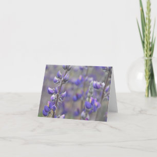 Champs de la carte de voeux violet