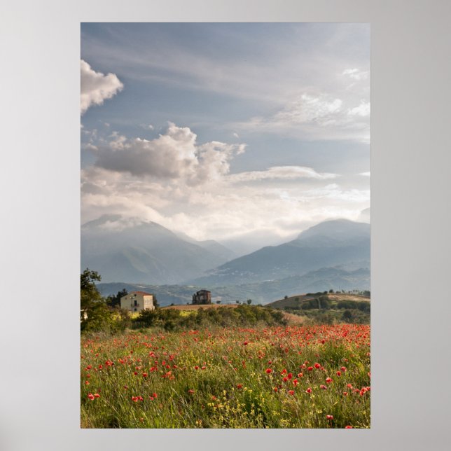 Champs de pavot en Italie Poster (Devant)