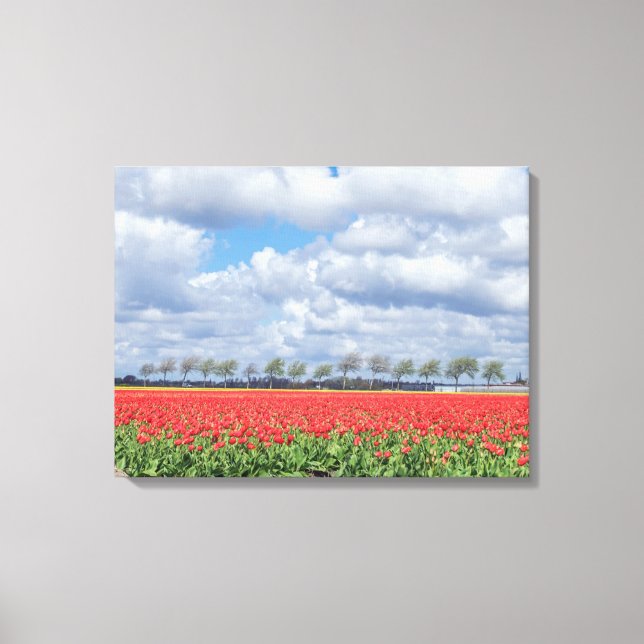 Champs de tulipe rouges, vue impression de toile (Recto)