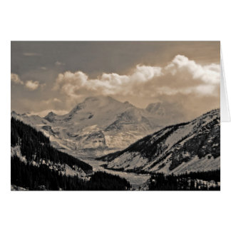 Champs glaciaires Columbia