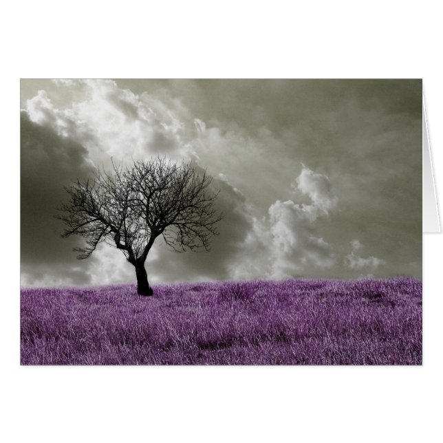 Champs violets (Devant horizontal)