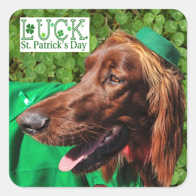 Chance Irish Setter Stickers St. Patrick's Day (Devant)
